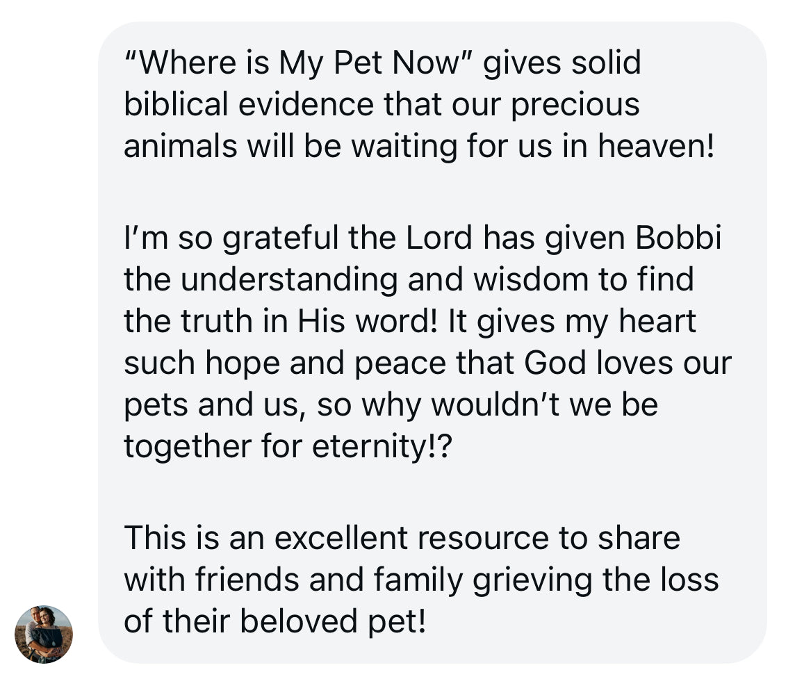 Where Is My Pet Now?
