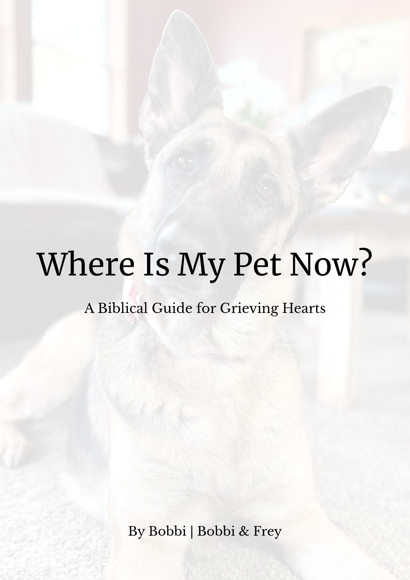 Where Is My Pet Now?
