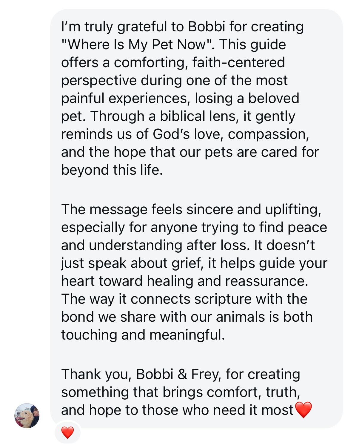 Where Is My Pet Now?